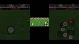 ١٤ ديسمبر ٢٠٢٥