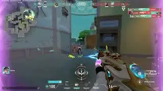 ACE