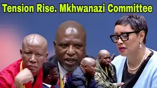 Tension rise as ActionSA question selection of ANC member as Chairperson into Mkhwanazi allegations.