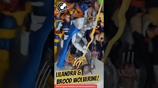 Marvel Legends Wolverine and Lilandra 2 pack! #marvellegends #actionfigures #wolverine #xmen