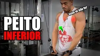 Treino de peito *foco em inferior*