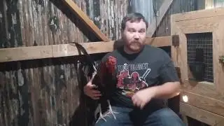 my new Butcher brood cock