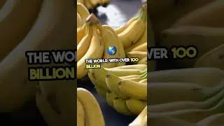 Mind Blowing Banana Facts You Never Knew! 🍌🤯