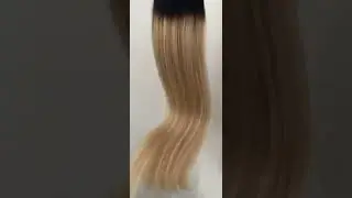 R2/51 Dark Brown & Champagne Blonde