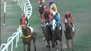 BTC RACE DAY 7 MARCH 2020 - RACE 8