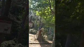 Ciąg dalszy w Herborn na rowerze