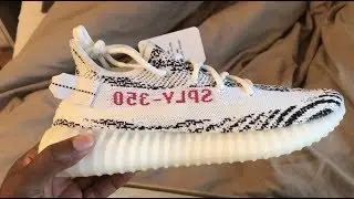 Adidas Yeezy Boost 350 V2 Zebra (On the feet and sizing)