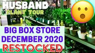 Big Box Store Plant Tour RESTOCKED//  December 2020!!!   Plant shopping and tour By my Husband 😮😮