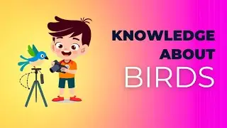 A Fun and Educational Bird Learning Adventure for Kids!