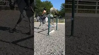 New jumping video live Sunday at 7pm BST 🐎 #horses #showjumping #equestrian
