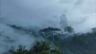 Best Nature Seen From Best Movie 🌲🌳🌴🌵
