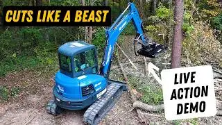 Blue Diamond Mini Excavator Heavy Duty Brush Cutter | Best Mini Excavator Brush Cutter Demo