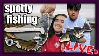 two foos go fishing, Spotty Farming
