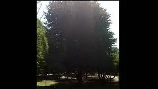 Hagerstown, MD City Park  (Summer 2020)