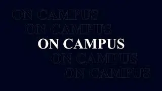 Effects of couples Lifestyle on campus 