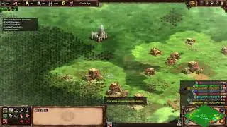 A lot of big onager shots in one game. AOE2 DE