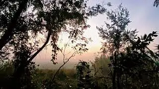 Nature 🌟#status #tranding