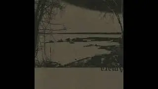 Dhow - Neophyte