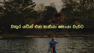 පූනාගල තනියා වගේද වතුර යටින් ගිහින් යෝධ නුගේ කඩන මේ දැවැන්තයා