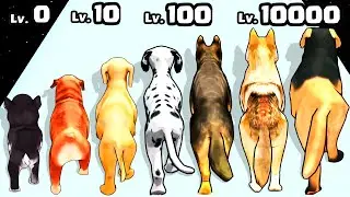 Dog Evolution Run - Level Up Spider Max Level Gameplay (Dog Merge)