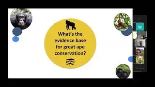 4  Jessica Junker and Matt Muir   Embedding evidence into great ape conservation practice and fundin