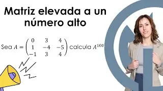 MATRIZ ELEVADA A UN NÚMERO MUY ALTO TIPO 2