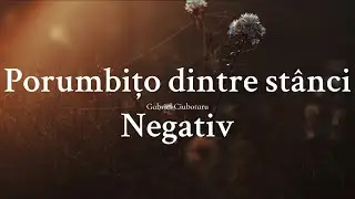 Negativ - Porumbițo dintre st&acirc;nci - Gabriel Ciubotaru