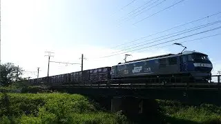 2019/05/02 JR貨物 今日も営業運転の62レと1050レはフルコン編成 安間川橋りょう