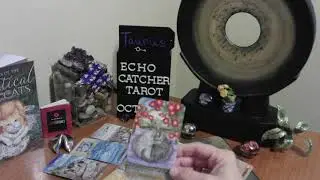 TAURUS/Stand Strong! The Animal Angels Are Around You, At This Time.