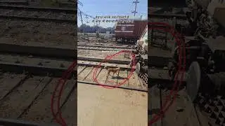 Dog is powerful....... #kamleshshergill #railtrack #railway #railwaycontent #train #indianrailways