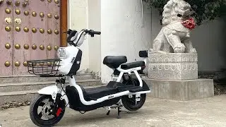 DLS Electric Bicycle Test | Urban Commuting/Outdoor Cycling Experience#foryou #ebike  #riding