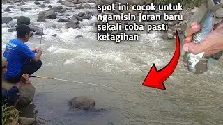 mancing nilem arus deras umpan roti klik !! nutul nilem sungai pemali