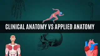 Applied anatomy vs clinical anatomy vs surgical anatomy key differences