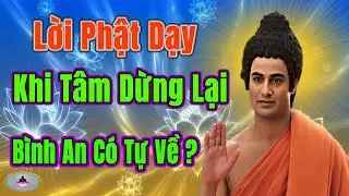 Tôi Đã Thử Im Lặng Và Tìm Thấy BÌNH AN Trong Tâm Hồn