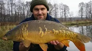 Method Feeder Zimą