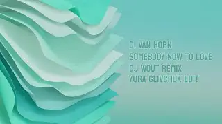 D. Van Horn - Somebody Now To Love (DJ Wout Remix, Yura Glivchuk Edit)