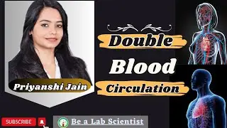 Double Blood Circulation { Systemic Circulation and Pulmonary Circulation ]