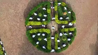 Akalulu by impact high school lugazi_your vote matters _for the 5years