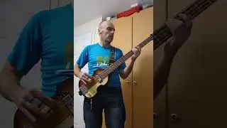 Will of the People / Muse bass cover