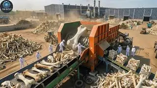 How Animal Bones Are Turned Into Toothpaste | Factory Mass Production