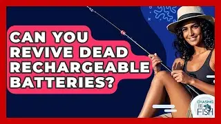 Can You Revive Dead Rechargeable Batteries? - Chasing Big Fish