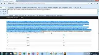 Web For Pentester Code Injection Example 2 Solution