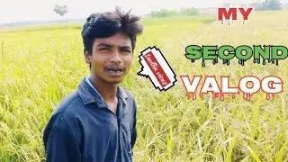  MY SECOND VLOG ❤️ || MY SECOND VLOG ON YOUTUBE 🔥|| MY FIRST VLOG || THE PR VLOGS