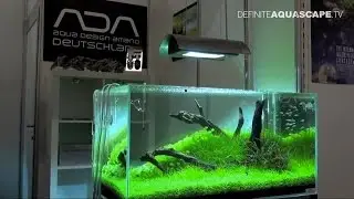 Aquarium ideas from InterZoo 2012 (pt. 34) - ADA Deutschland