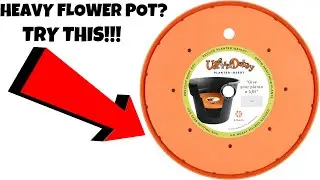 Bloem Ups-A-Daisy Round Planter Insert REVIEW!