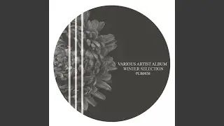 Future Field (Original Mix)