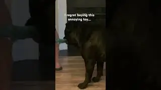 I regret this toy for her