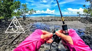 Baru Belajar Casting Lagi Dapat Ikan Monster