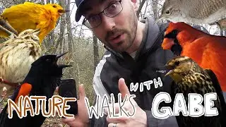 Nature Walks With Gabe #9. Bird Call ID Test