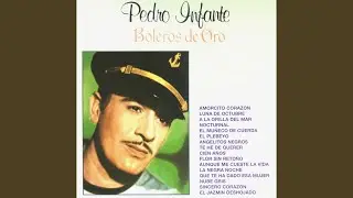 El jazm&iacute;n deshojado